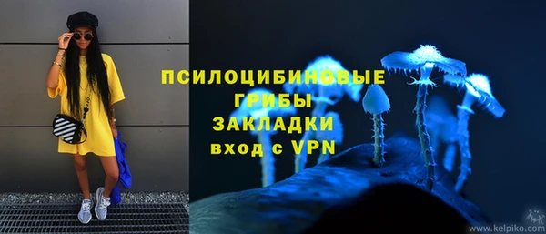 а пвп мука Алзамай