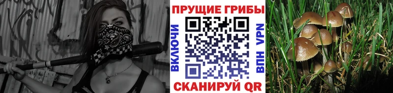 Псилоцибиновые грибы ЛСД  Усинск 